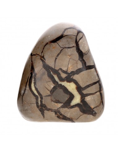 Septaria Polished Form (M)