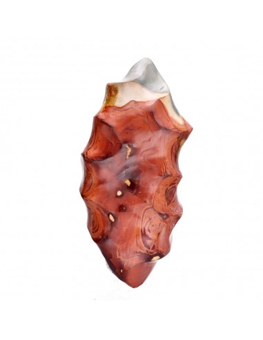 Jaspe polychrome poli FPJ6