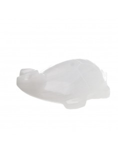White Calcite Turtle Family