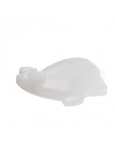 White Calcite Turtle Family