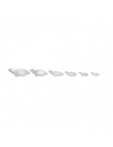 White Calcite Turtle Family