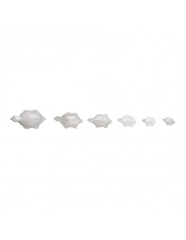 Familia de Tortugas de Calcita Blanca