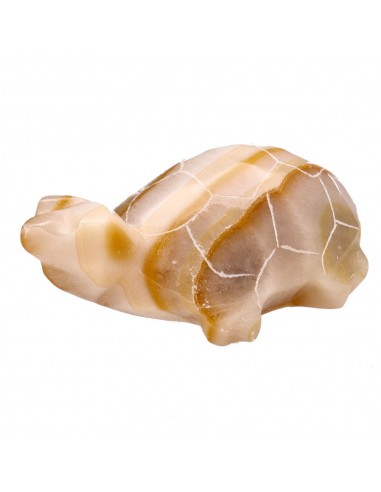 Famille de tortues en calcite...