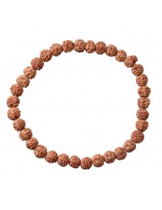 Pulsera Semilla de... 2