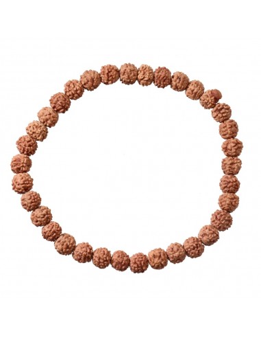 Pulsera Semilla de Rudraksha 6mm