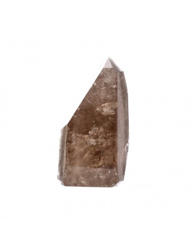 Polished Smoky Rutilated Quartz (CR9)
