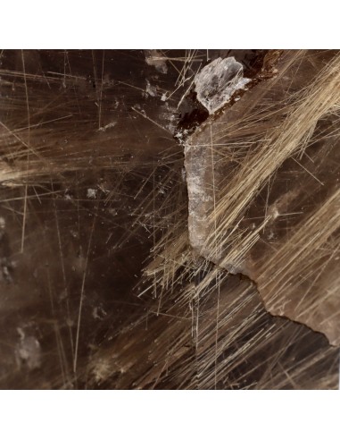 Polished Smoky Rutilated Quartz (CR21)