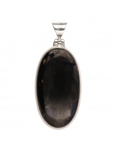 Pendentif Shungite en...