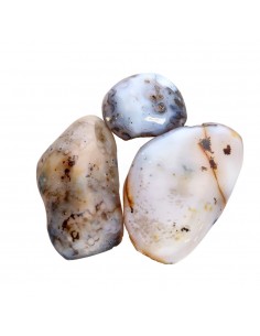 Agate dendritique semi-polie 2