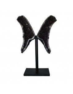 Ailes d'améthyste PA983