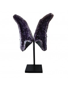 Ailes d'améthyste PA985