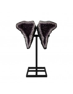 Ailes d'améthyste PA987