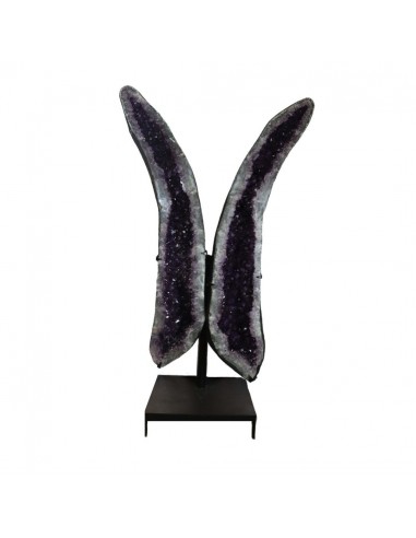 Ailes d'améthyste PA994