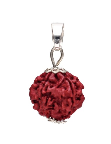Pendentif Rudraksha