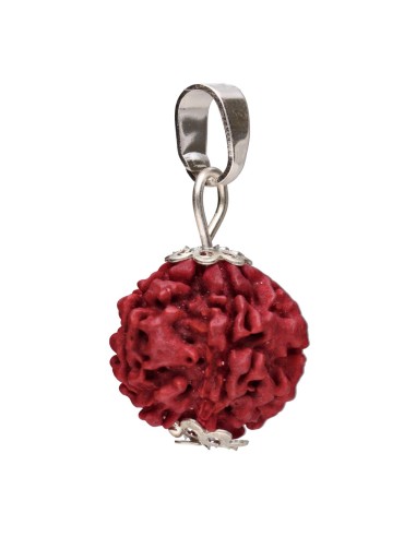 Pendentif Rudraksha