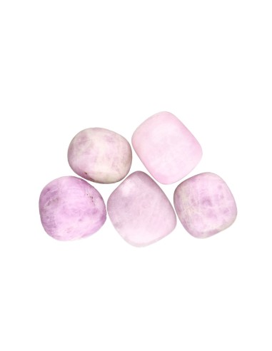Rodados de Kuncita 3x2cm