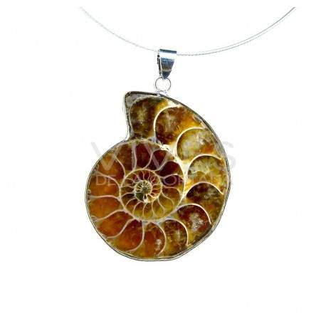 Pendant Ammonite