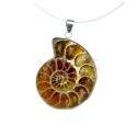 Pendant Ammonite
