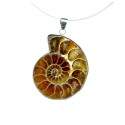 Pendant Ammonite