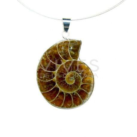 Pendant Ammonite
