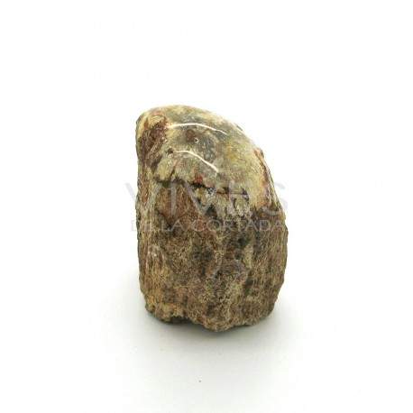 Xilopalo (500g)