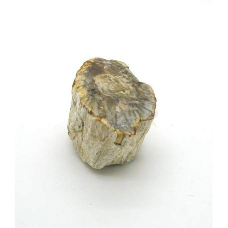 Xilopalo (500g)