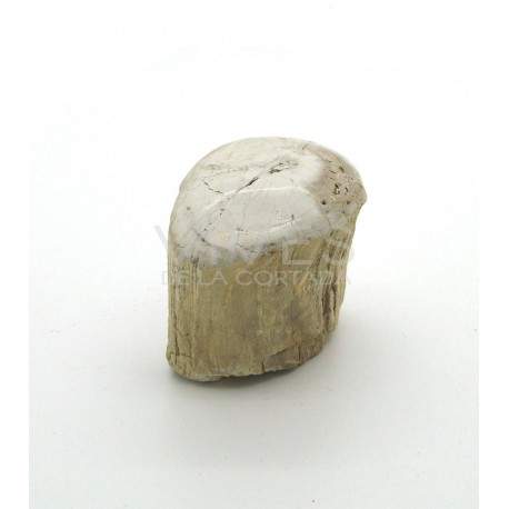 Xilopalo (500g)