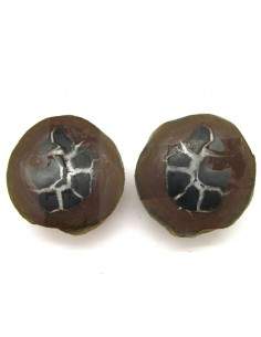 Septaria pareja seccionada grande