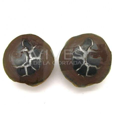 Septaria pareja seccionada pequeña