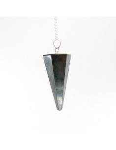 Pendulum Faceted of Shungite