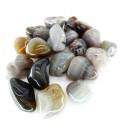 Agate Tumbled 5x3cm (pack 250gr)