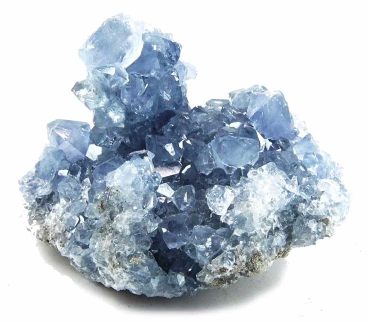 celestina