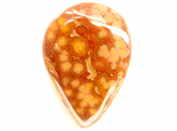 jaspe orbicular