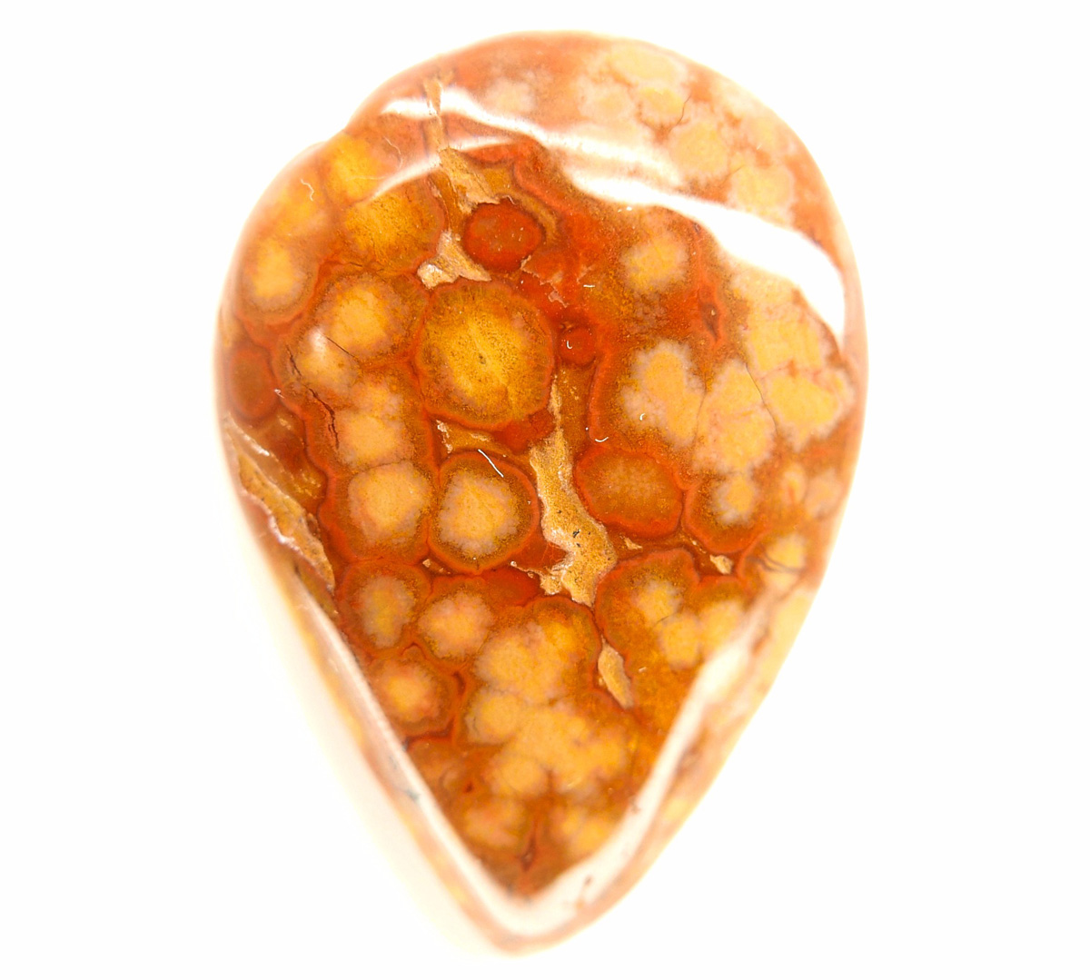 jaspe orbicular